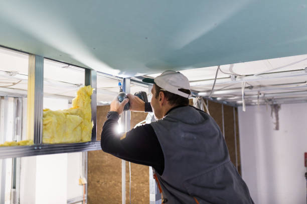 Best Spray Foam Insulation in Patterson, LA