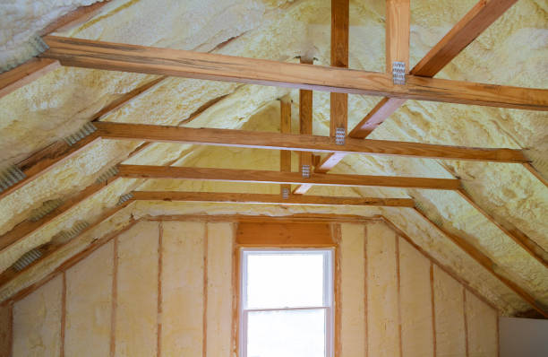 Best Cellulose Insulation in Patterson, LA