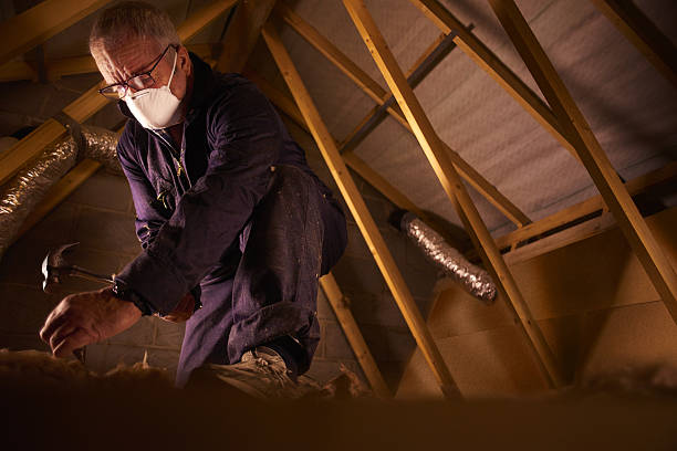 Best Geographic-Specific Insulation Services in Patterson, LA