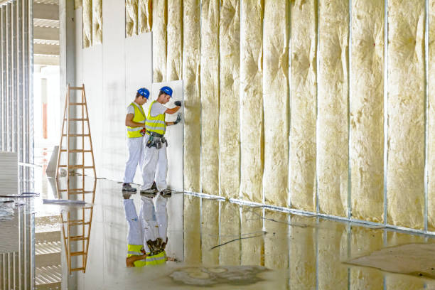 Best Residential Insulation in Patterson, LA